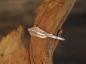 Preview: Silverring
